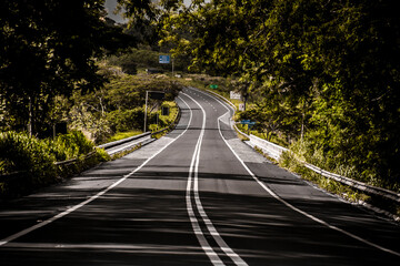 Regular road of State of São Paulo (Brazil) with trees (with very green and healthy leaves) and a small bridge
