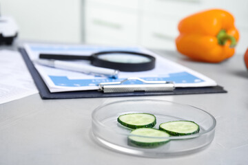 Wall Mural - petri dish with slices of cucumber on table in laboratory, space for text. poison detection