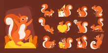 Cartoon Squirrel. Wild Wooden Animals Various Poses Squirrels On Branch With Nuts Nowaday Vector Funny Set. Squirrel Rodent And Mammal Woodland Illustration