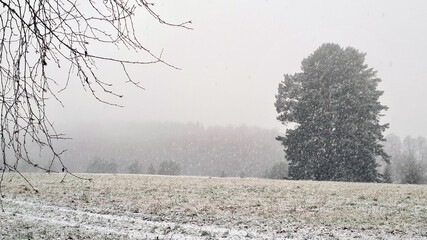 Winter on a cold snowy weather day .