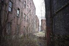 Depressing Abandoned Old Brick Buildings With Overgrown Weeds In Alley In Once Thriving Northern Rust Belt Town Brownsville Pennsylvania