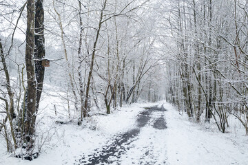  Winterlandschaft im Hanfbachtal