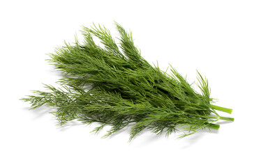 Bunch of fresh green dill isolated on white background