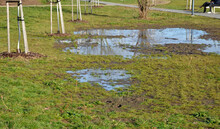 The Waterlogged Soil In The Park Does Not Receive Water From The Spring Rain. Poorly Executed Drainage Or Cracked Automatic Irrigation Pipeline Created A Flood, A Road Accident Near The Road
