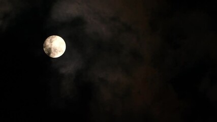 Wall Mural - full moon in the night