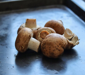 mushrooms on the table