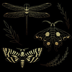 Collection of golden insects: dragonfly, lunar moth and death's head hawkmoth, and plant elements. Beautiful set painted with gold paint isolated on dark background. High quality illustration