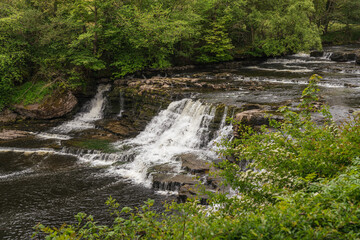 The Middle Falls of the Aysgarth Falls, North Yorkshire, England, UK