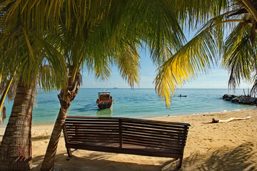 Wall Mural - Malaysia. The East coast of the island of Borneo. View of the sea harbor from the shade of coconut trees.