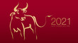 Happy Chinese new year 2021 year by gold brush stroke abstract paint of the ox isolated on red background.