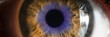 © H_Ko - Cropped photo of beautiful macro photo of human eye, iris, pupil, eye lashes, eyelids