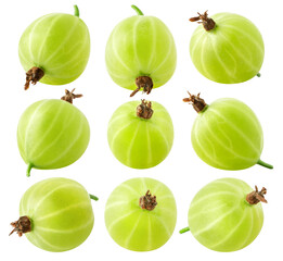 Canvas Print - Isolatec collection of berries. Set of green gooseberries isolated on white background with clipping path