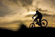 Bicycle Silhouette In Sunset, One Person, Solo.