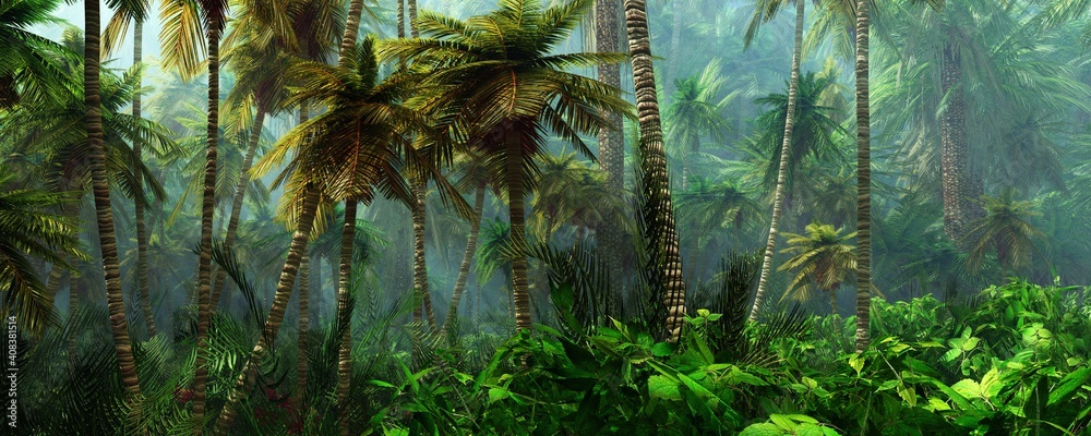Jungle, beautiful rainforest in the fog, palm trees in the haze, jungle in the morning in the fog - obrazy, fototapety, plakaty 