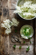 © Eva Gruendemann/Westend61 - Saucepan with fresh¬†elderflowers¬†and cup of¬†elderflower¬†tea with mint