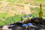 Fototapeta  - Tasting of white or jaune Jura wine on vineyards near Chateau-Chalon village in Jura region, France