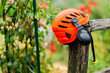 © Clare Seibel-Barnes/Austockphoto - Helmet and earmuffs personal protective equipment for tradie