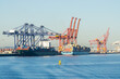 © Gary Chapman/Austockphoto - Cargo ships lined up under cranes at a sea port