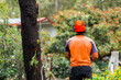 © Clare Seibel-Barnes/Austockphoto - Tree removalist man working in garden