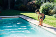 Little boy jumping in a pool. Child get fun in the swimming pool of his home. Outdoors activities in quarantine.
