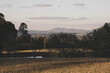 © Melissa Stewart/Austockphoto - country pasture view at sunset with a windmill and mountains in th background