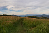 Fototapeta Na ścianę - Appalachian Trail at sunset, view from Max Patch bald over the Great Smoky Mountains