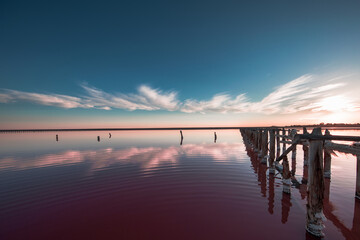 Wall Mural - pink lake and sandy beach with a sea bay under a blue sky with clouds