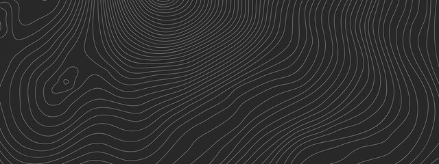 Wall Mural - the stylized height of the topographic contour in lines and contours. the concept of a conditional g