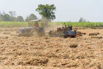 Poster - Sugarcane leaf compress by tractor in old sugarcane field