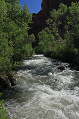 Wall Mural - Tapeats Creek in heavy summer flow by Upper Tapeats Campground in Grand Canyon National Park, Arizona.