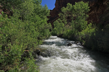 Wall Mural - Tapeats Creek in heavy summer flow by Upper Tapeats Campground in Grand Canyon National Park, Arizona.