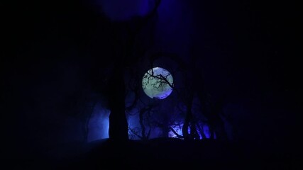 Wall Mural - spooky dark landscape showing silhouettes of trees in the swamp on misty night. night mysterious for