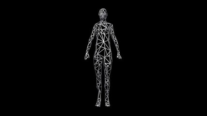 3d female model. Low resolution polygon woman transforming to high res wireframe  surface. 3d animation rendering isolated on dark background