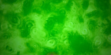 Green Abstract Acrylic Background With Brush Strokes And Splashes	