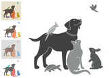 Fototapeta Las - Vector illustration with a group of pets for your design. Black and white and four color options. All animals are drawn separately - you can move, delete some of them. 