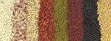 Fototapeta Nowy Jork - Different beans as background. Legume assortment.