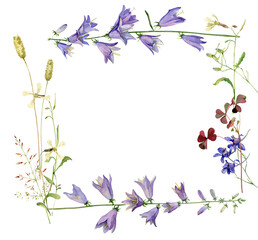 Wall Mural - Watercolor frame from flowers of wild bells and herbs