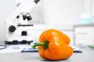 Wall Mural - bell pepper on table in laboratory, closeup. poison detection