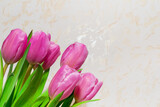 Fototapeta Tulipany - Bouquet of seven pink tulips closeup. card for March 8.neutral indoors background.