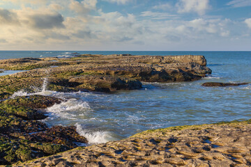 Wall Mural - Coast of a wild beach near Baku