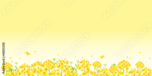 Print On Fabrics 菜の花 一面黄色 菜の花畑 背景イラスト 横長 2 1比率 Textile Id Print On Fabrics 菜の花 一面黄色 菜の花畑 背景イラスト 横長 2 1比率 Textile Id
