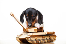 Image Of Dog Tank White Background 