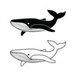  whale logo vector, whale coloring page