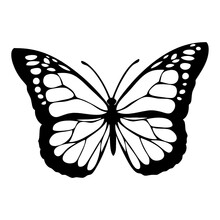 Layered Butterfly Vector, Clipart