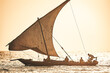 Dhow Sailboat 