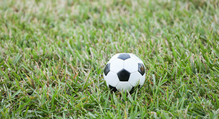 soccer ball on green grass