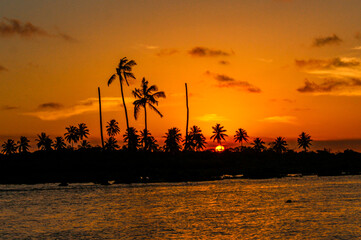 Wall Mural - Pôr do Sol Maracaípe / PE