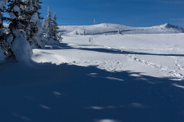 Winter view of Vitosha Mountain, Sofia City Region, Bulgaria