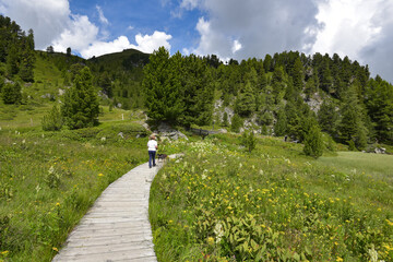 Canvas Print - Naturlehrweg am Windebensee in Kärnten / Österreich