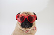 Cute pug dog wearing red heart shaped glasses and a bow tie 